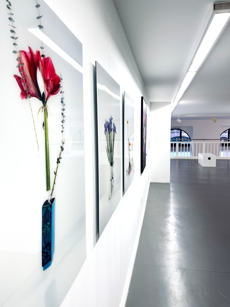 Broken Flowers Austellung